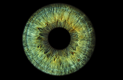 Optimizing your images to gain organic traffic