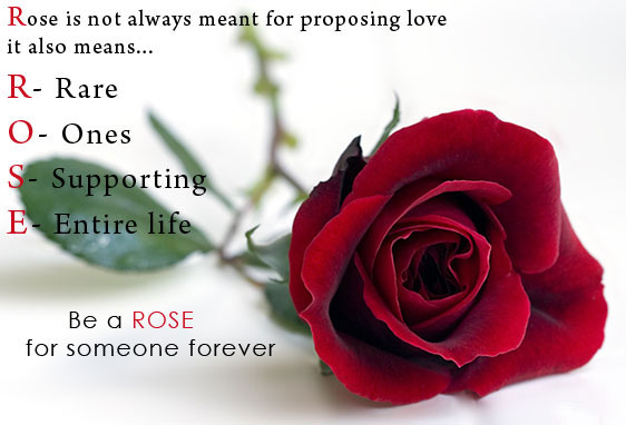 Happy Rose Day SMS for Girlfriend in Hindi