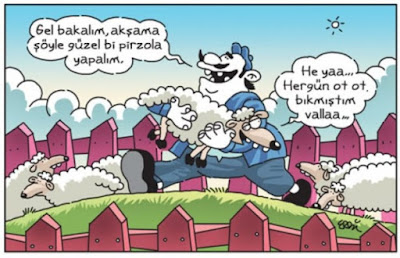 Sarhos-koyun komik-hayvan-karikatürleri