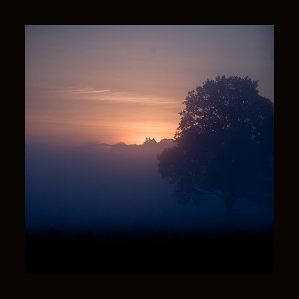 Richmond Park, Dawn by Mark Simms, as seen on linenandlavender.net Take me there. http://www.linenandlavender.net/p/blog-page_5.html