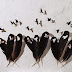 بالصور.. "Chris Maynard" فنان يحول ريش الطيور إلى أعمال فنية جميلة!