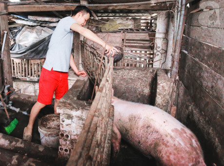 Nguong mo mo hinh VAC cua chang trai 9x o ngay trung tam Ha Noi - Anh 10