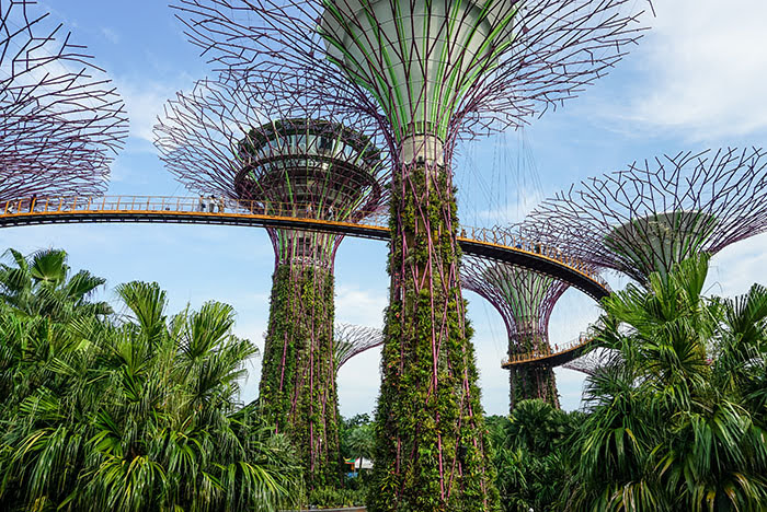 Singapur | Sightseeing: Gardens by the Bay 
