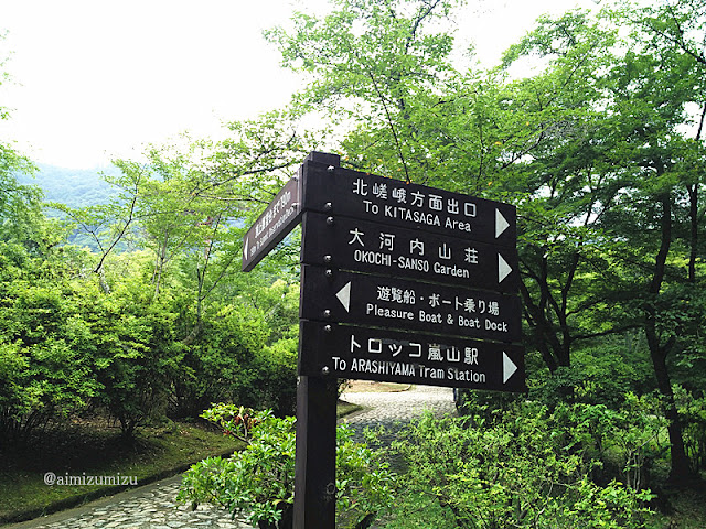 Explore Arashiyama