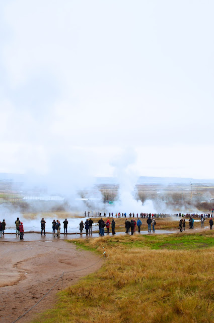 the golden circle tour, iceland,geysir,geyser, travel, travelling,wisata