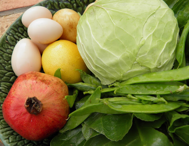 What are Vitamins, types and benefits Of Vitamins What are Vitamins, types and benefits Of Vitamins