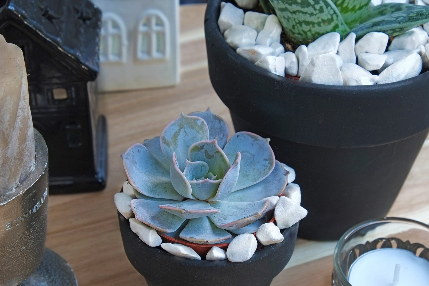 Kleurenpaletten, inspiratie met vetplant (interieur ideeën ...