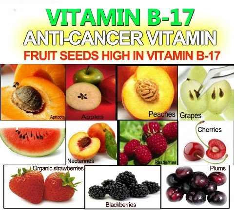 Vitamin B-17 (Anti-Cancer Vitamin)