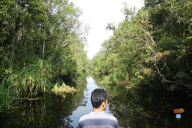 Klotok en Borneo