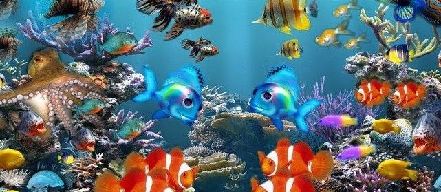 Daftar Harga Ikan Hias air Tawar Terlengkap Semua Kategory Sekarang Ini