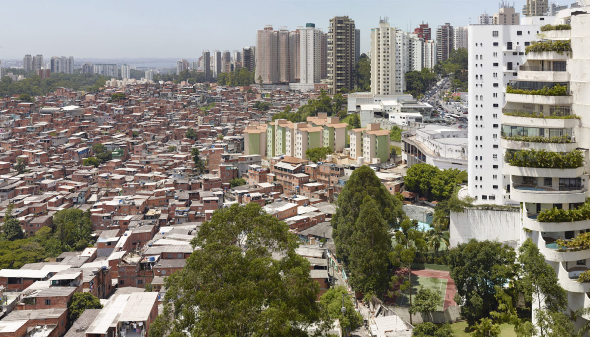 дерево в сан пауло в 1955 году