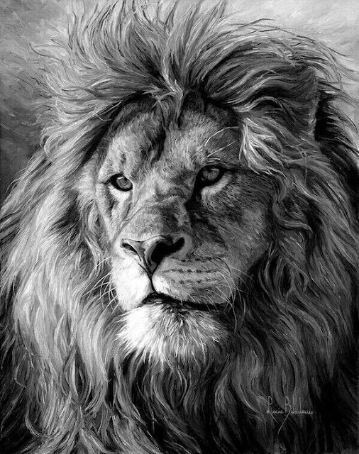 الاكراد اخوت الاسود صور, صور الأسد, black and white, drawing, خلفيات اسد, hd اجمل اسد, اجمل الصور اسود,اجمل الصور للاسود,خلفيات اسد رسم