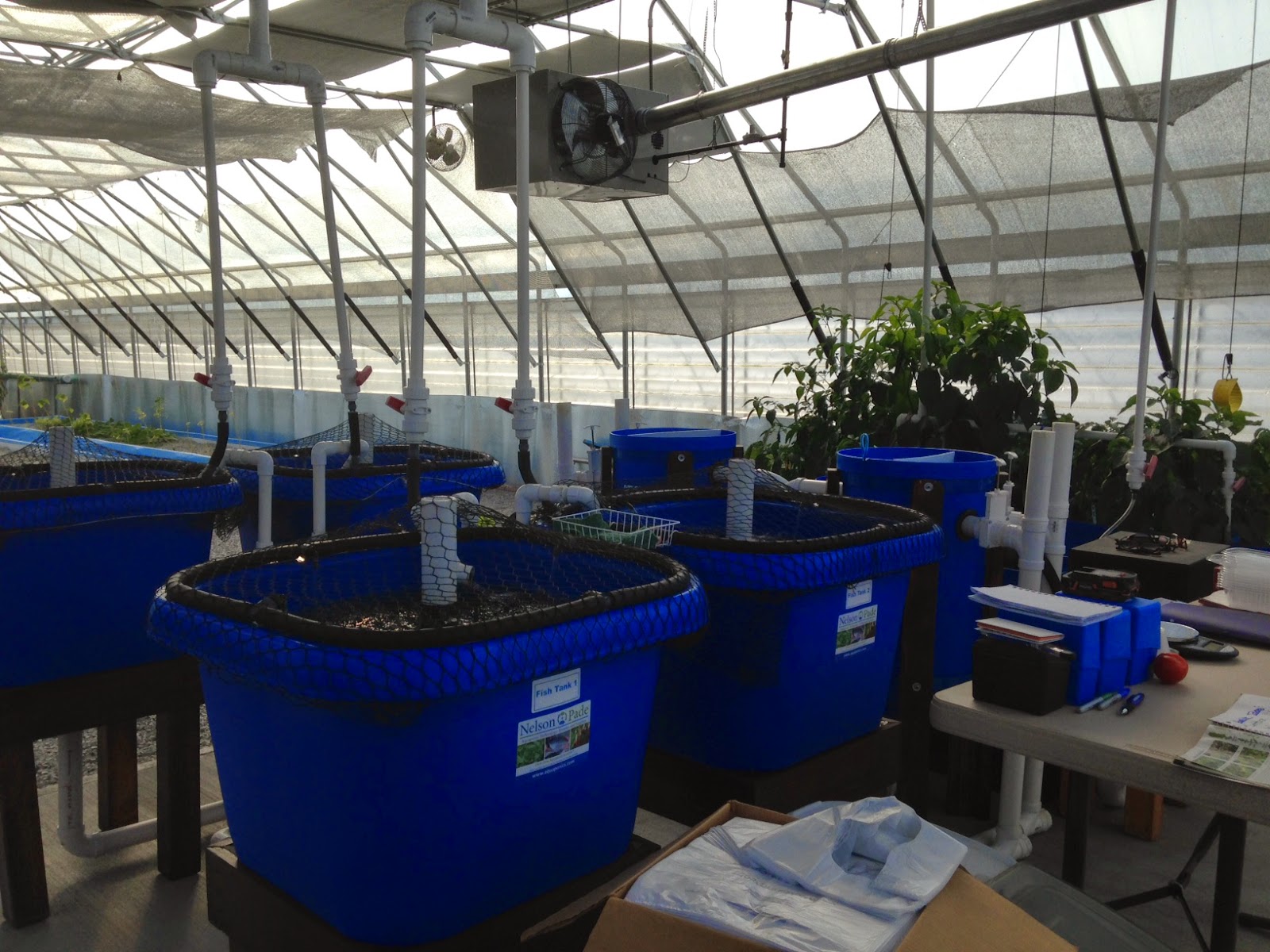 1 Acre Farm Urban Farming in Louisville Kentucky Visit to Bluegrass Aquaponics