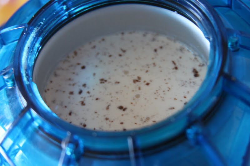 Kara's Creative Place Ice Cream Maker Ball