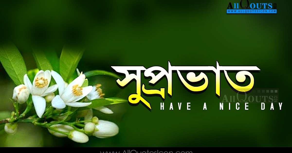 Best Good Morning Quotes In Bengali Hd Wallpapers Life