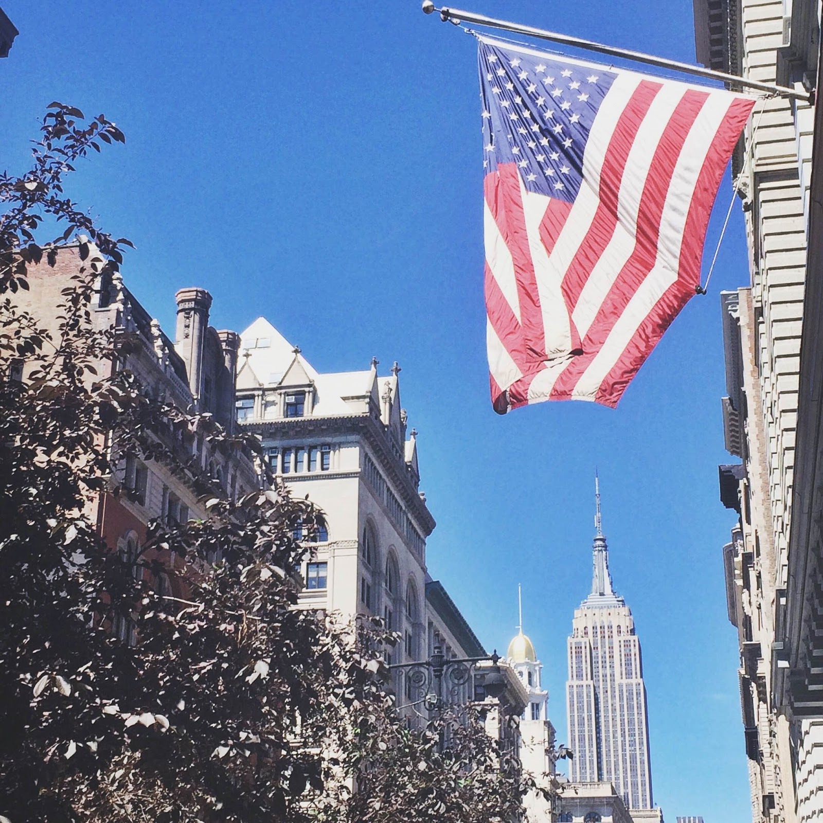 Landed a Job in NYC! Passing Whimsies