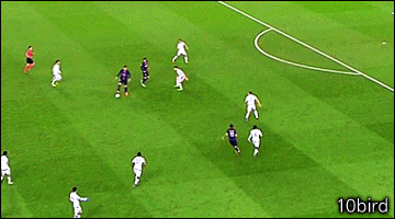 파리의 차이.gif | 인스티즈