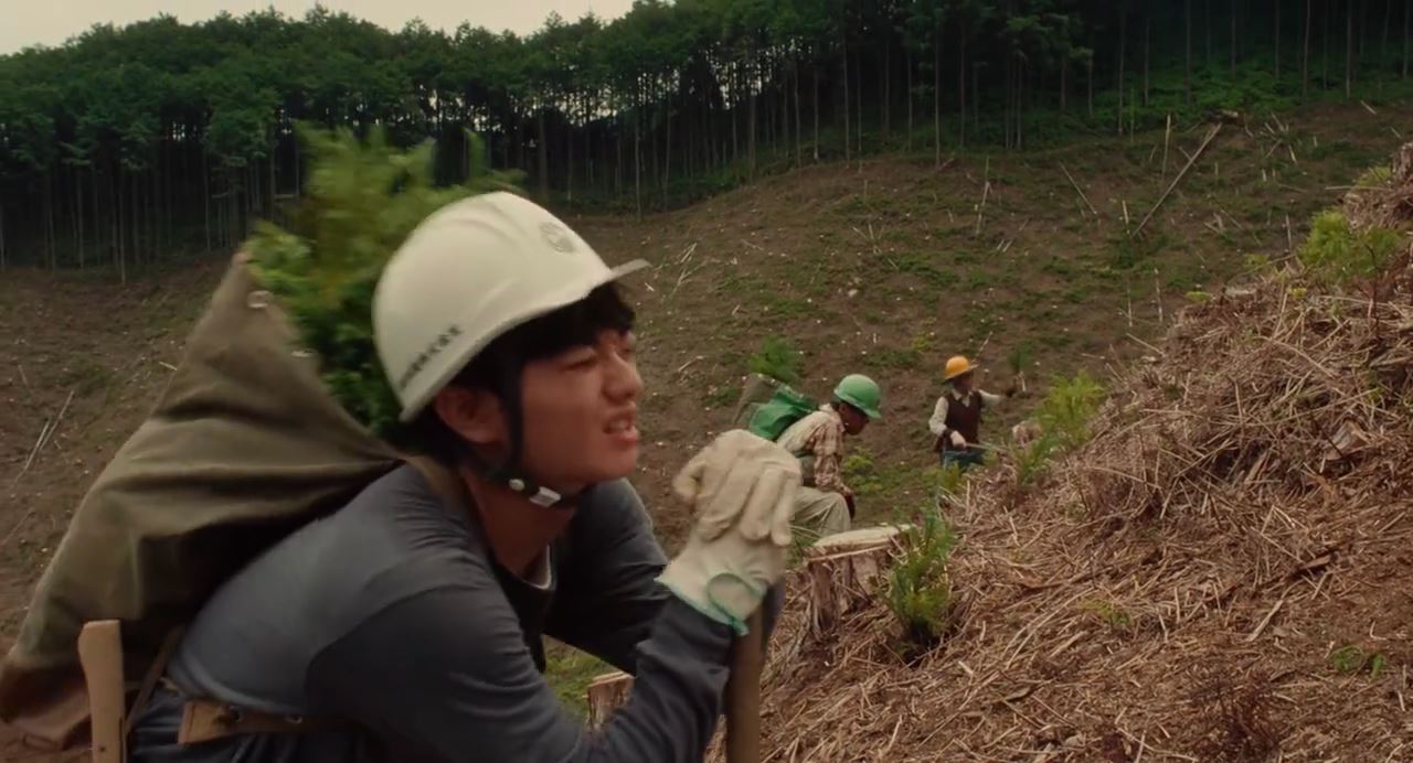 [Review] JMovie Wood Job!! (2014) Clover Blossoms