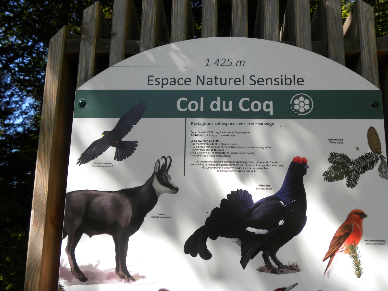 le coq 2018