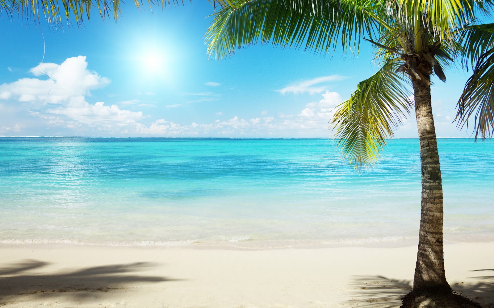 wallpaper beach scenery wallpaper beach scenery
