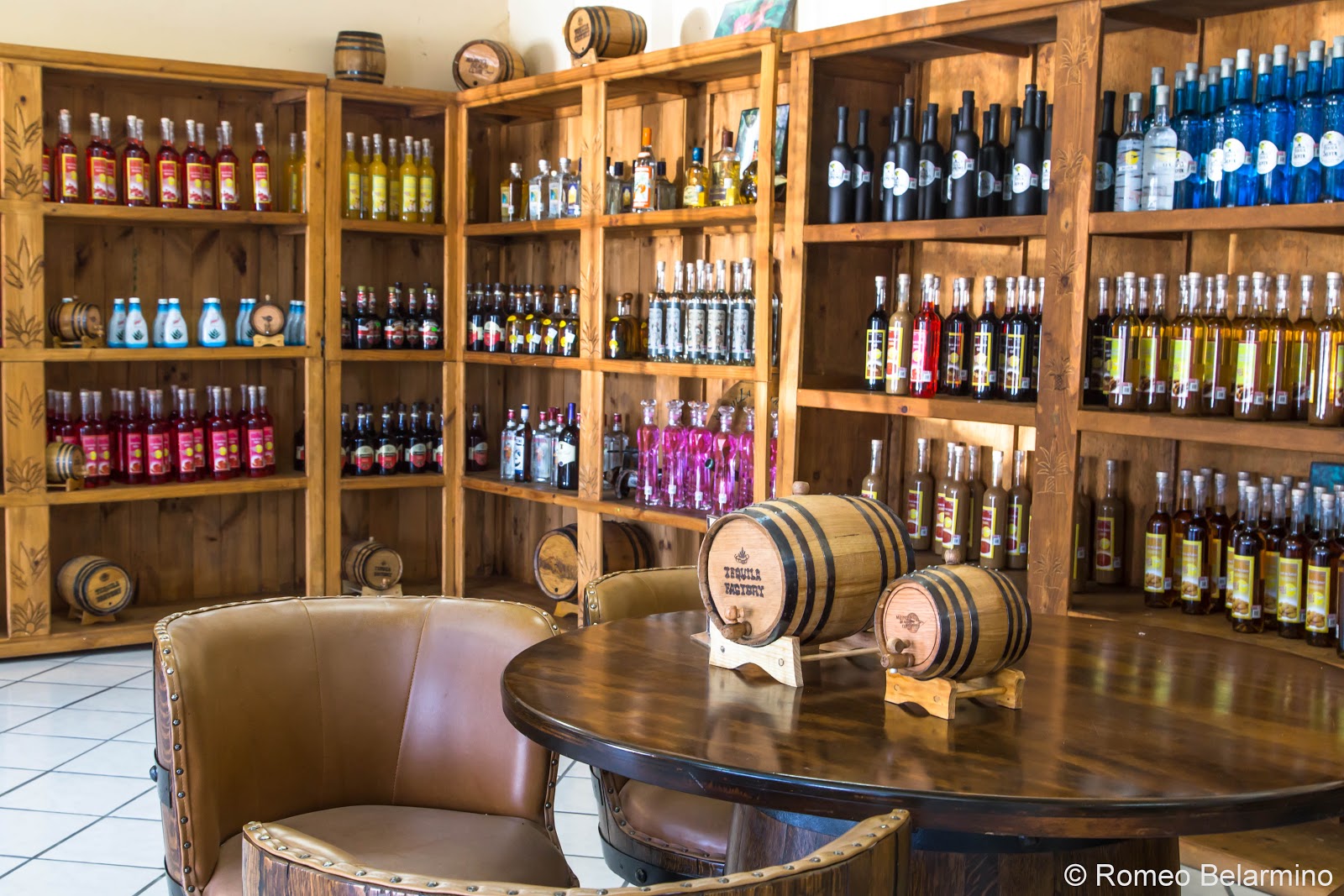 10 Fun Things to Do in Puerto Peñasco Mexico Travel the World