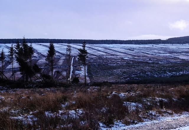 Irish landscape winter scenery in the mountains.