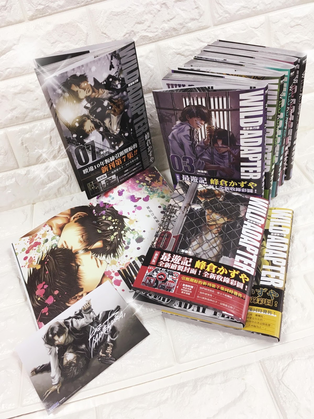 睽違10年 疾暴執行部 最新刊中文版上市將意志化作色彩的殿堂級漫畫家峰倉かずや 紀由屋 Kikyus