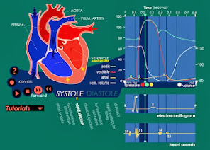 Ciclo Cardiaco