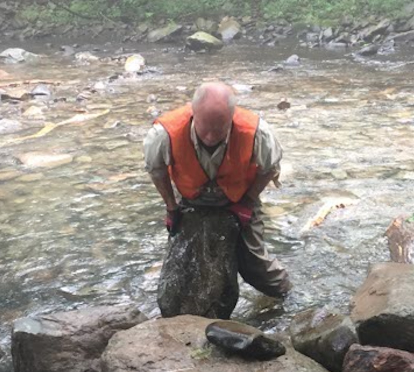 PA Environment Digest Blog Brodhead Chapter Trout Unlimited Volunteers