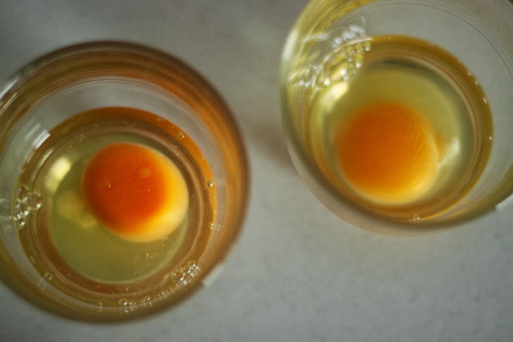 The Really Crunchy Mom Eggs Up