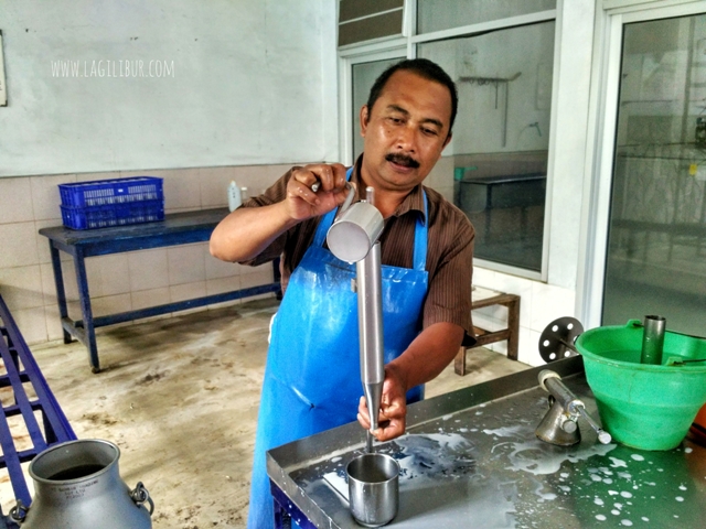 Koperasi Susu Sapi Pujon Kidul Malang