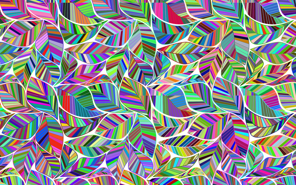 What Should You Know About Wallpaper Installation In Christchurch