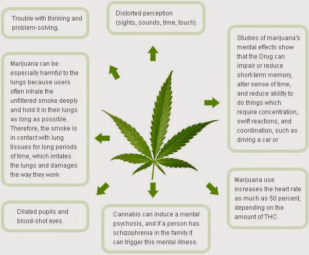 Sociological effects of marijuana