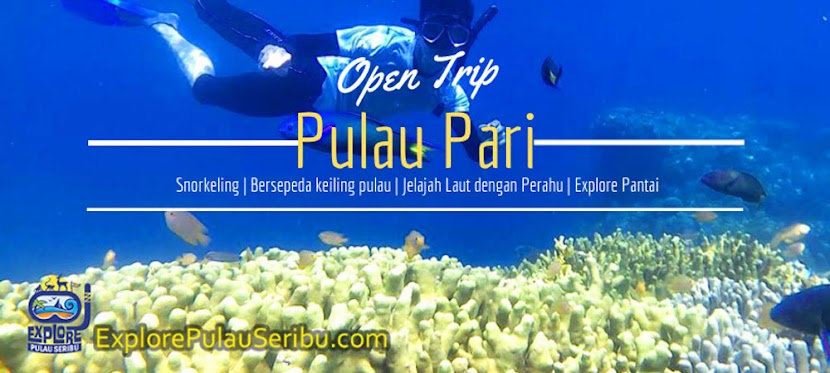 Paket Open Trip dan Private Trip Pulau Pari