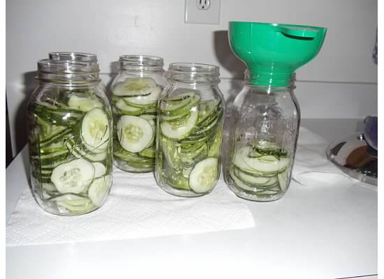 Avoid disaster: these 5 companions will turn your cucumbers into juicy perfection