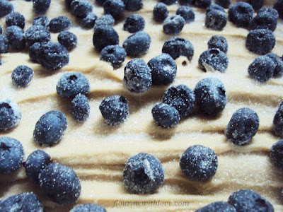 Blueberry Coffee Cake; flourmewithlove.com