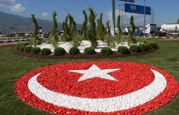 Turk bayragi gul resimleri 8