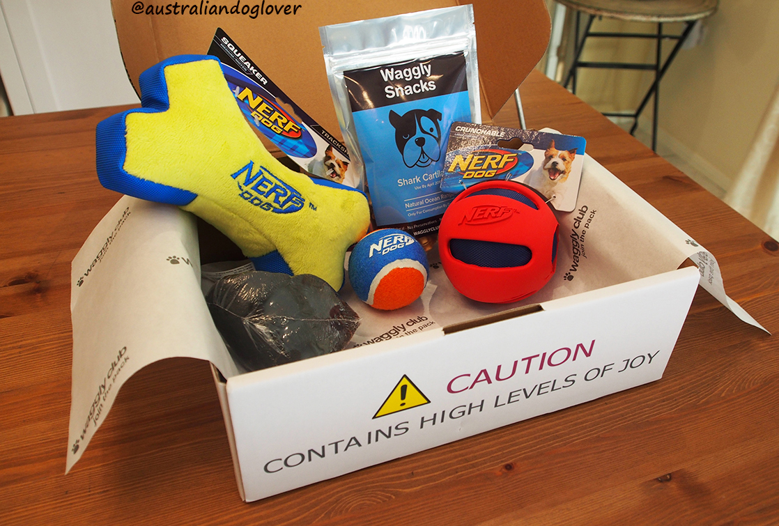 Waggly Club Dog Subscription Box Review Australian Dog Lover