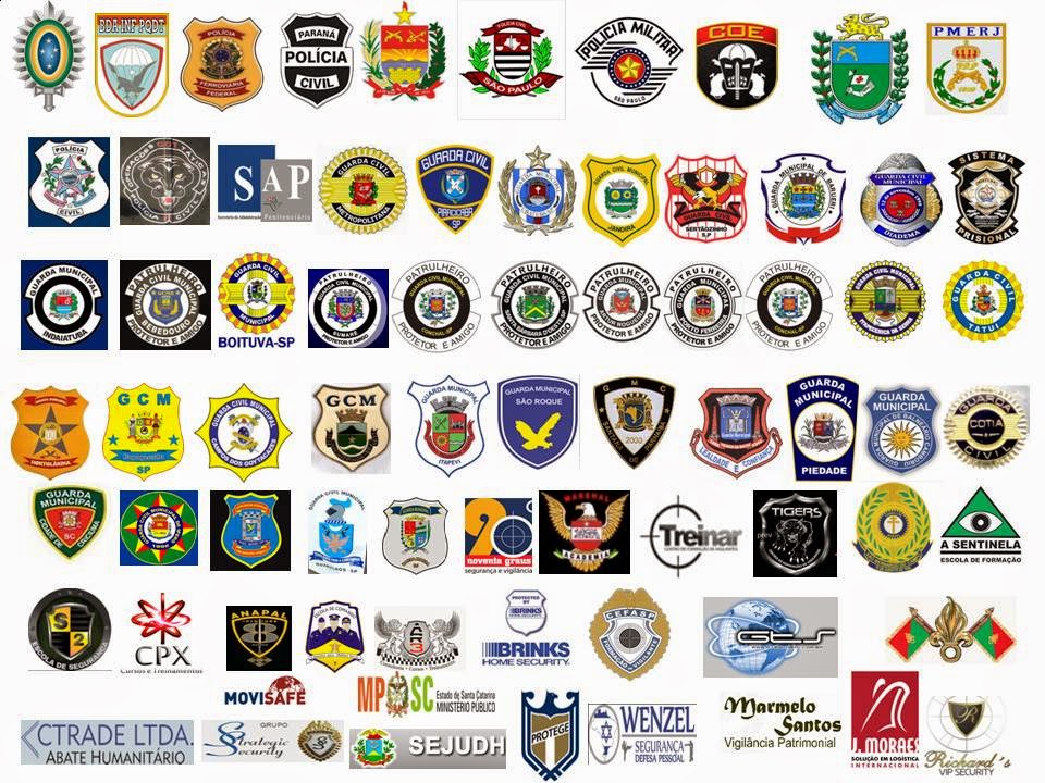 INSTRUTOR DE ARMAMENTO E TIRO: INSTITUÇÕES TREINADAS