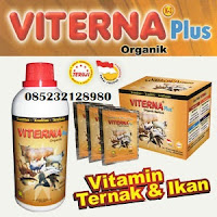 agen-nasa-di-werinamapseram-bagian-timur-085232128980 agen-nasa-di-werinamapseram-bagian-timur-085232128980