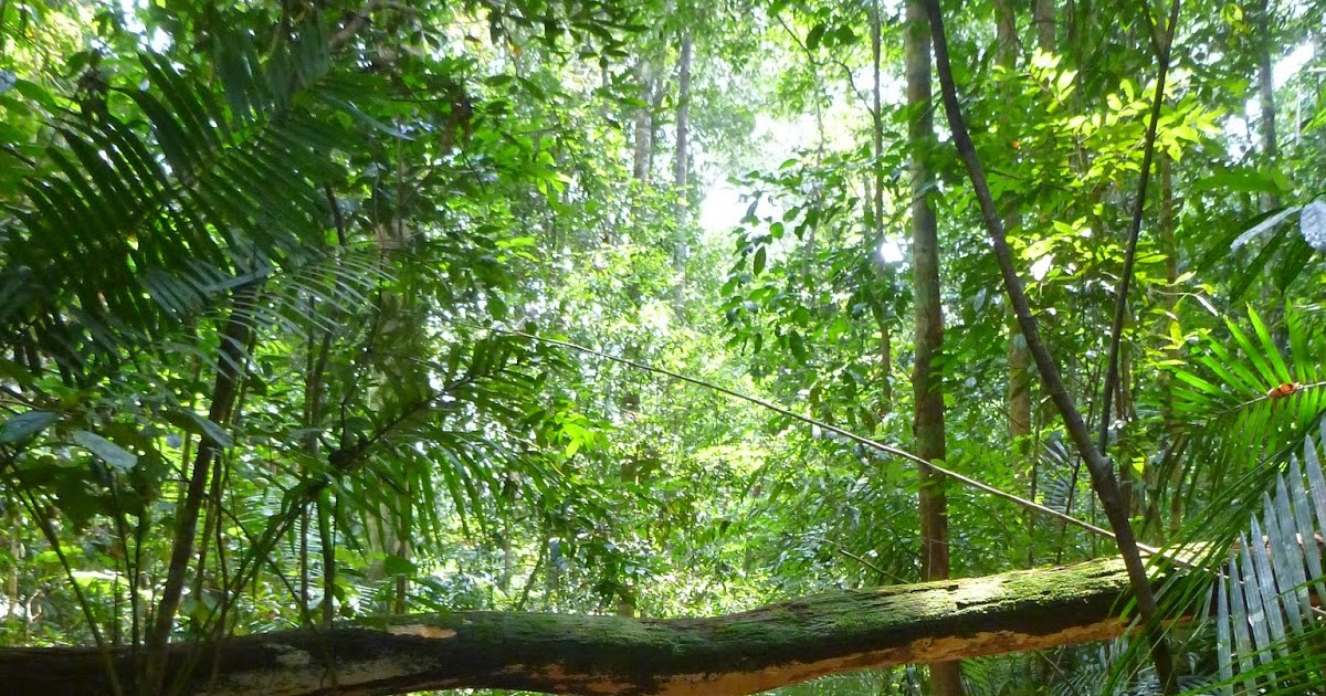 Hiking Master Definition Of Hiking