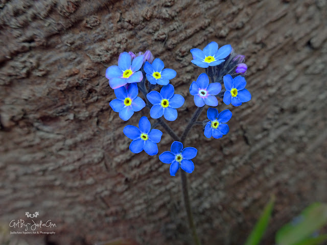 Blue Heart Flowers Print