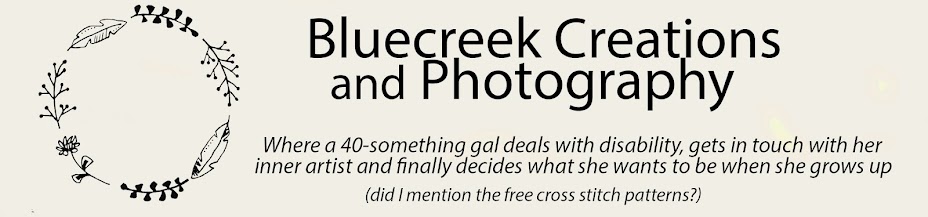 Blue Creek Creations and Photography