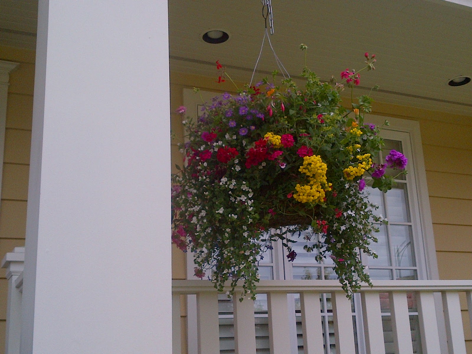 BLOOMERS BLOOM VANCOUVER HANGING BASKETS (604) 818 2819 CALL US. FREE