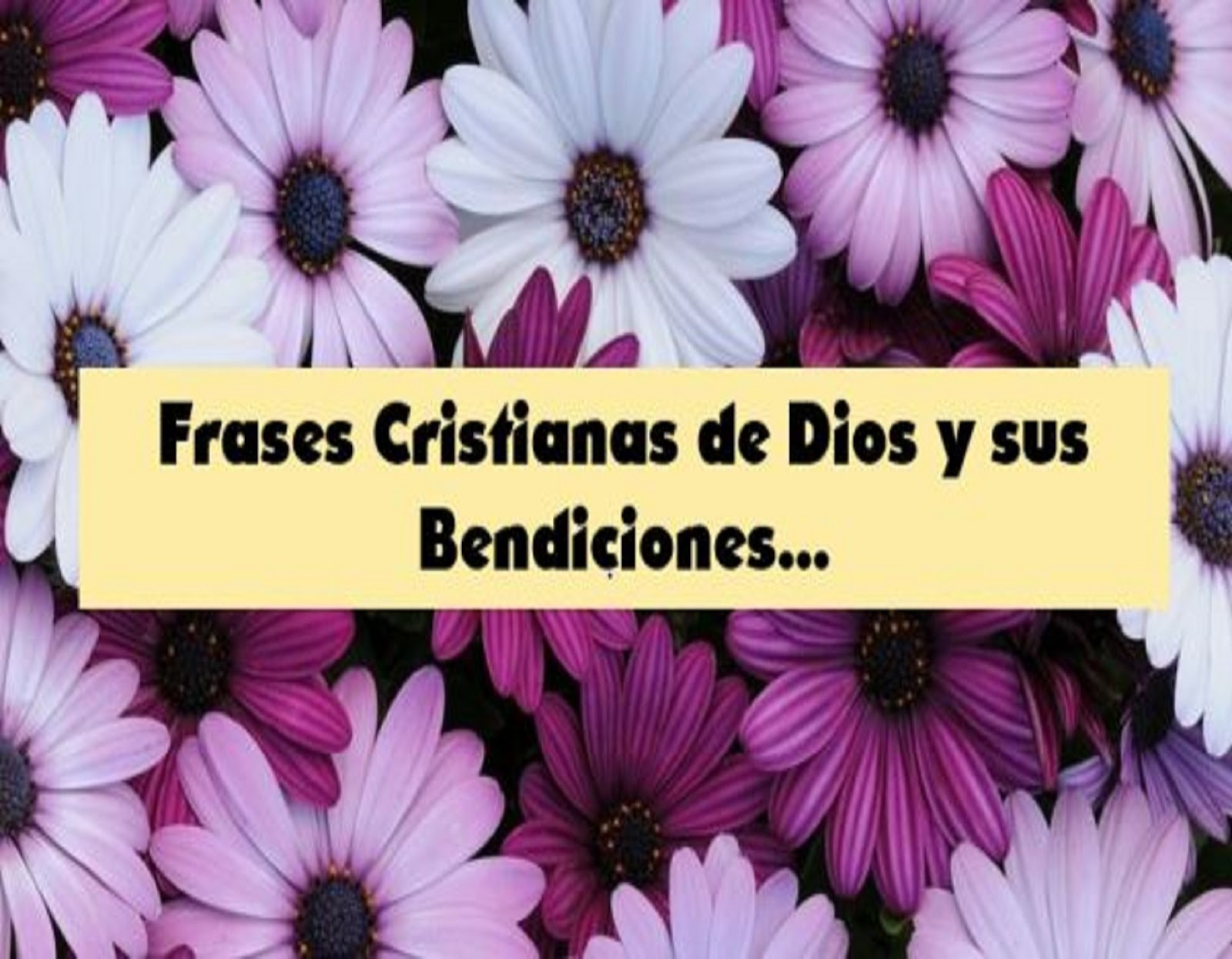 🌾🌼💬🌼🌾 Frases cristianas de Dios y sus bendiciones 🌾🌼💬🌼🌾 | Tarjetitas