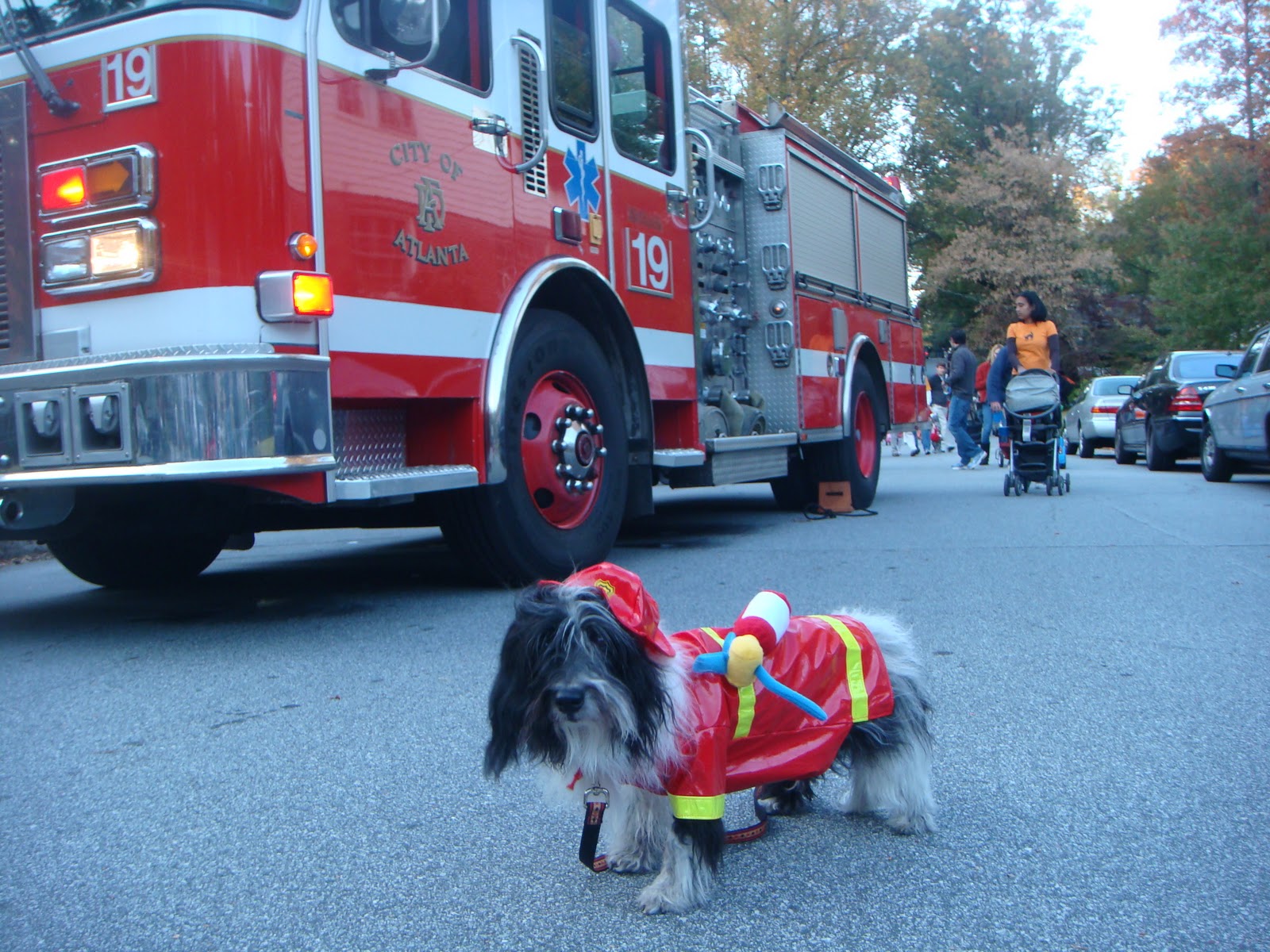 To Dog With Love: Cosmo and the Fire Engine: Atlanta Fire Station No. 19