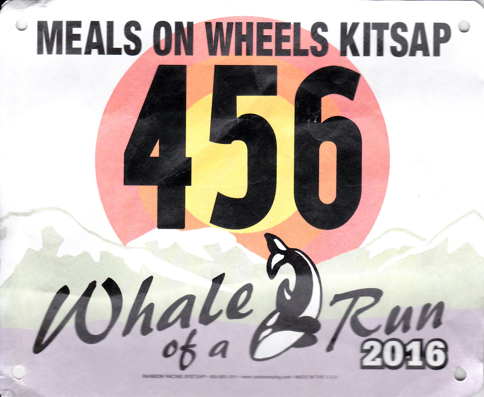 whale runner whale runner