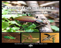 Guía de campo - Insectos de Chile con problemas de conservacion | CORMA insectos-de-chile-con-problemas-de-conservacion