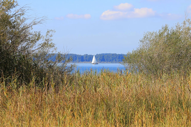 Yacht on Chiemsee near Seebruck (Germany) [2014]