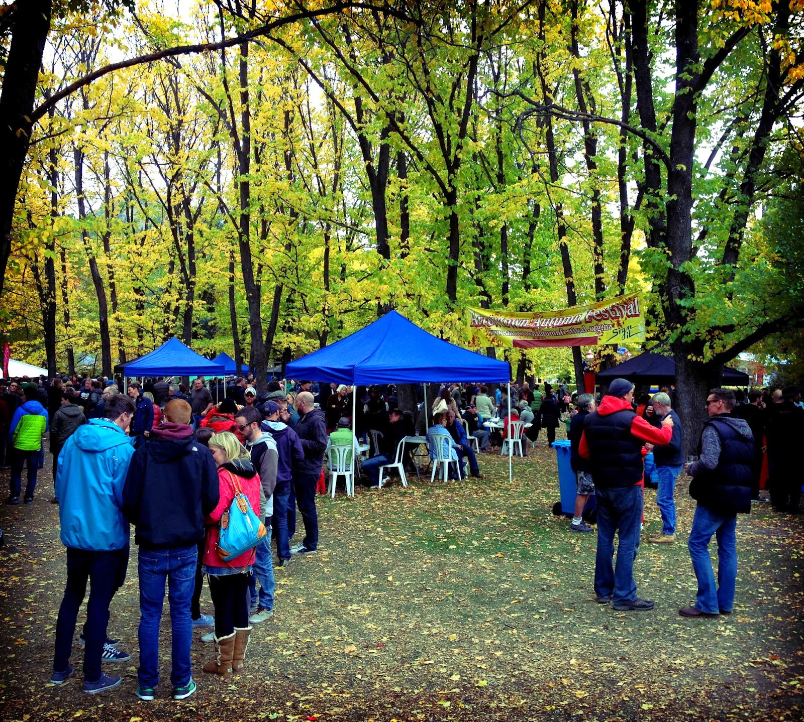 Atlas Beer Cafe Some pics from Pie and Pint